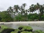 Palm-fringed beach